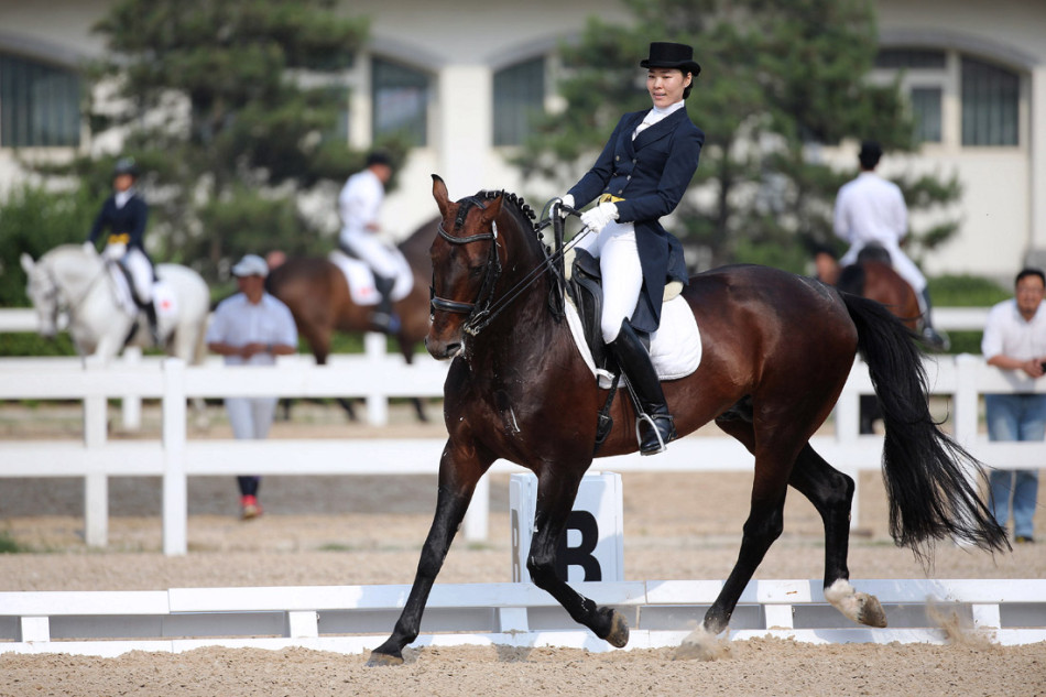 全国马术盛装舞步冠军赛