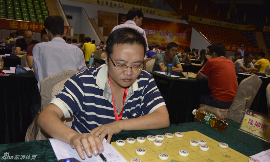 杨官璘杯公开组73将特辑