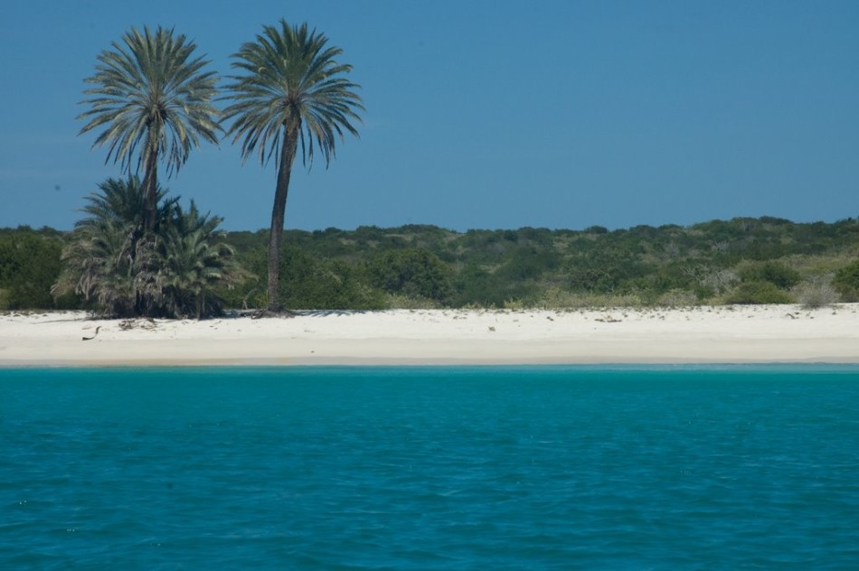 委内瑞拉布兰基亚岛长什么样