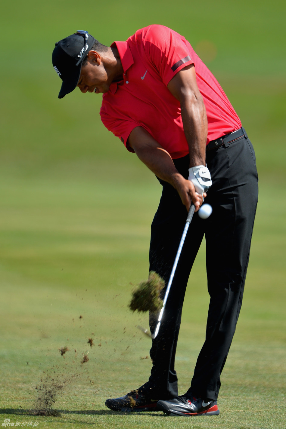 泰格-伍兹这一年_高清图集_新浪网