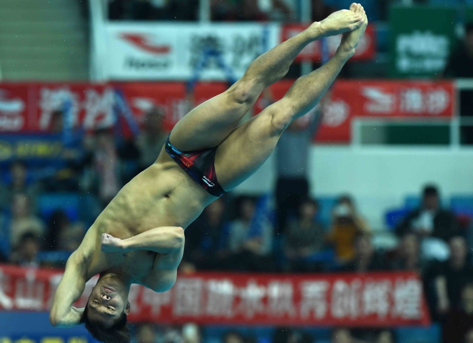 跳水运动员范逸图片