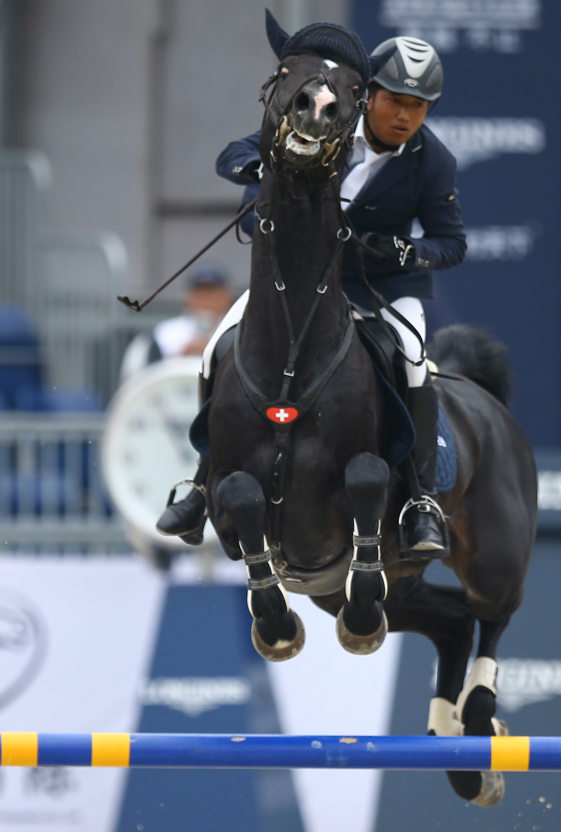 新浪直击马术中巡赛上海站次日_高清图集_新浪网