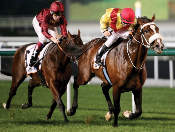 爱马的迪拜王子哈曼丹