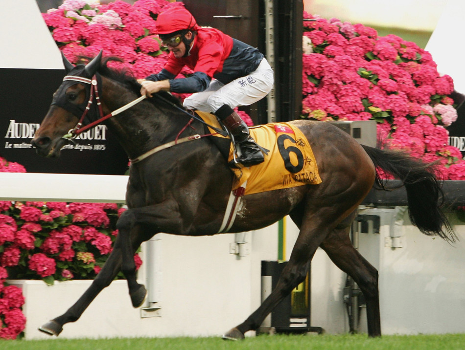 赛马“爆冷”的故事