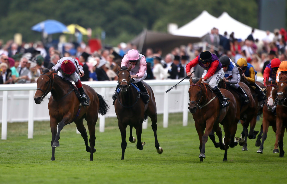 英国皇家赛马会骑手风采_高清图集_新浪网