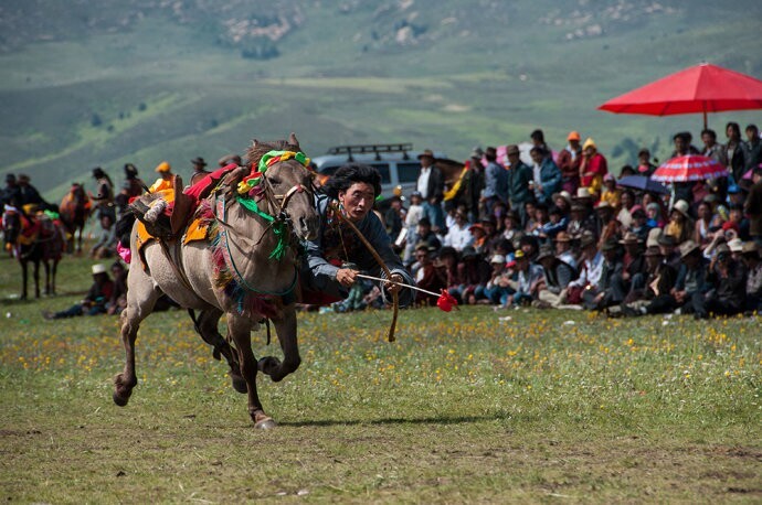 草原赛马的速度与激情