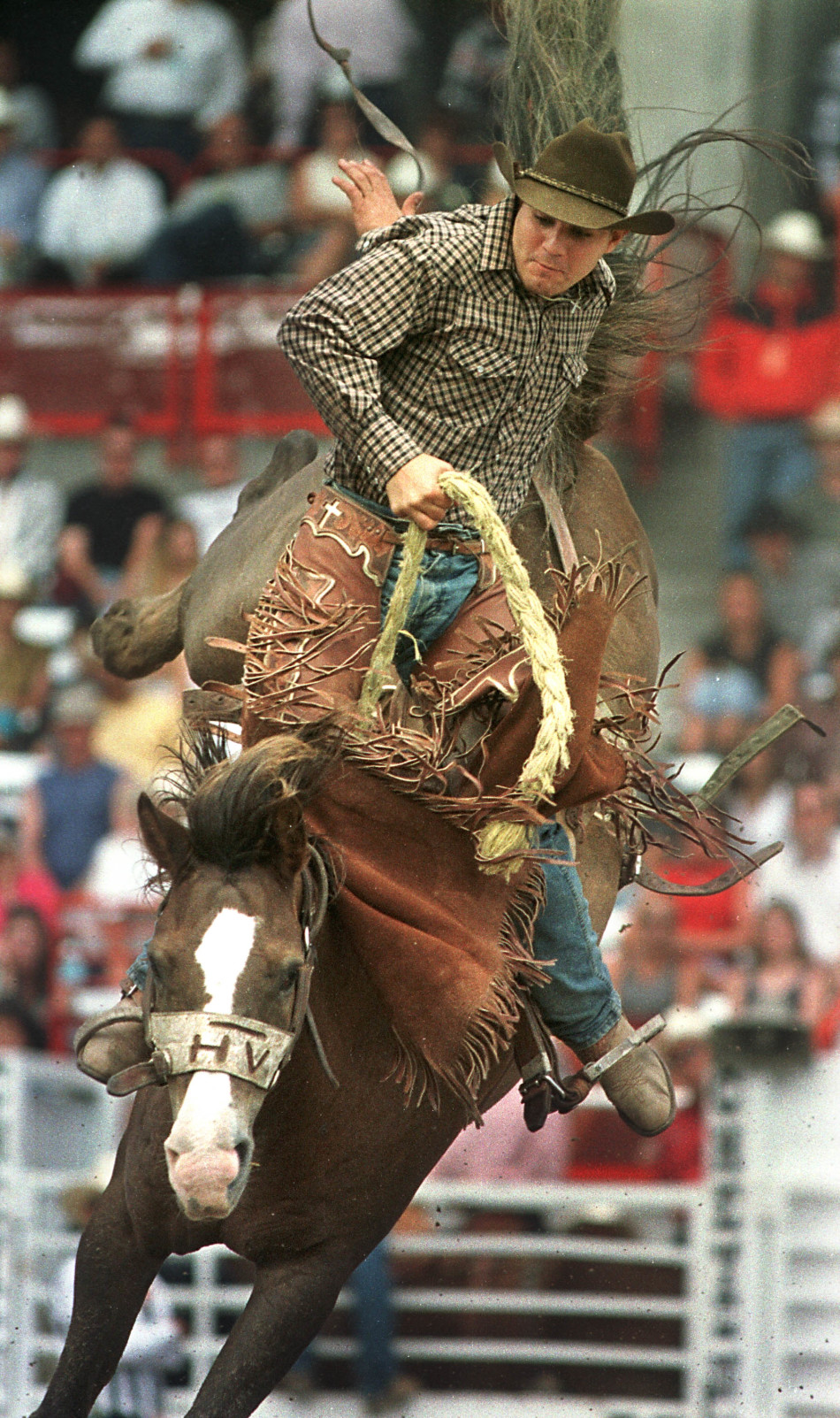 西部马术魅力瞬间