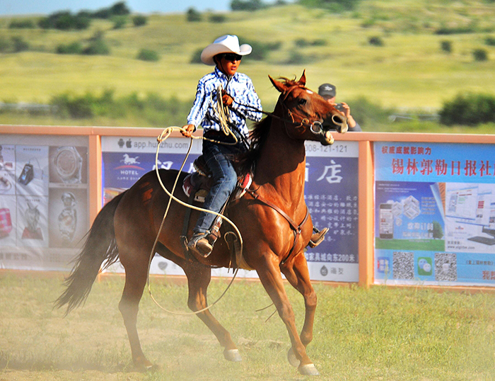 看草原人驯马震撼人心_高清图集_新浪网