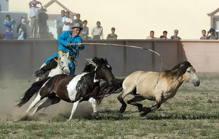 看草原人驯马震撼人心_高清图集_新浪网