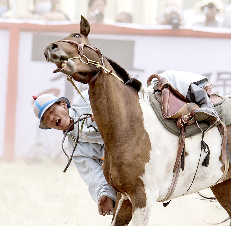 国际驯马大赛震撼瞬间_高清图集_新浪网