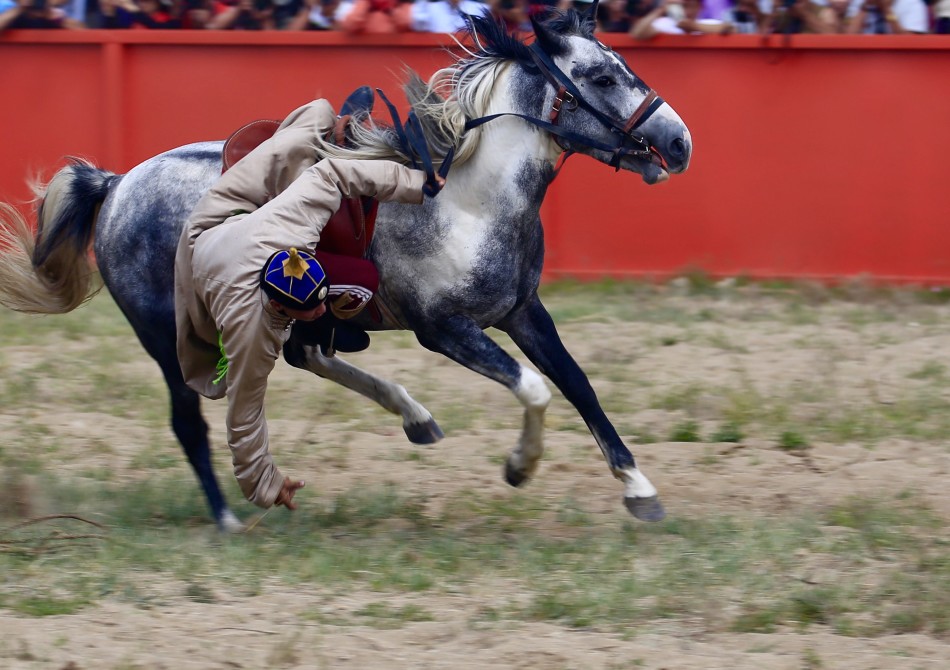 8月1,2号,在锡林浩特市白音锡勒赛马场上演了国际驯马大赛,骑手在没有