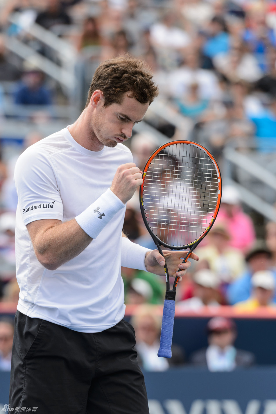 罗杰斯杯穆雷横扫进八强_高清图集_新浪网
