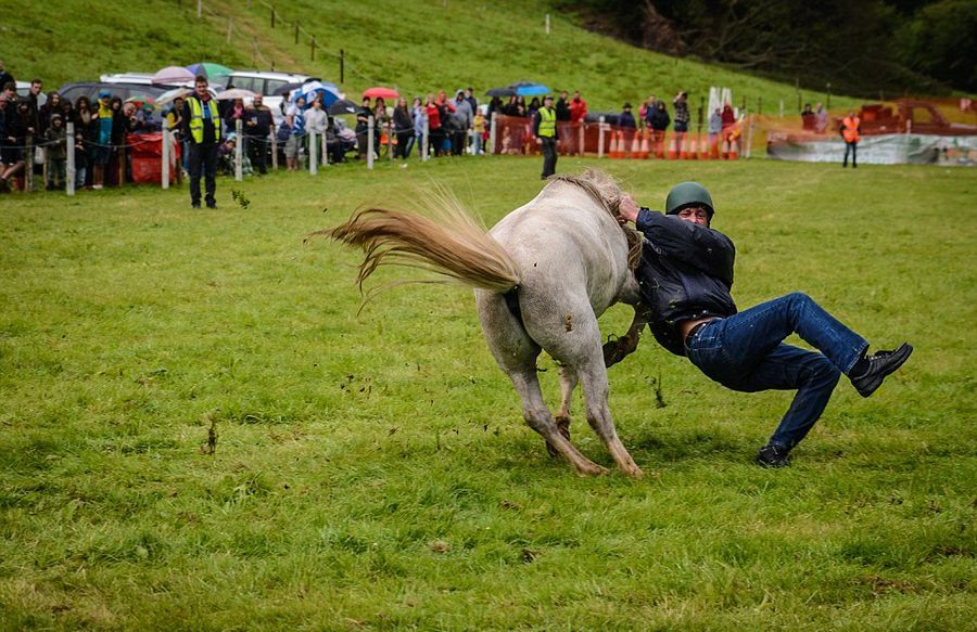"人马大战"骑手落败_高清图集_新浪网