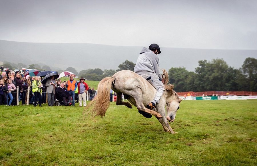 "人马大战"骑手落败_高清图集_新浪网