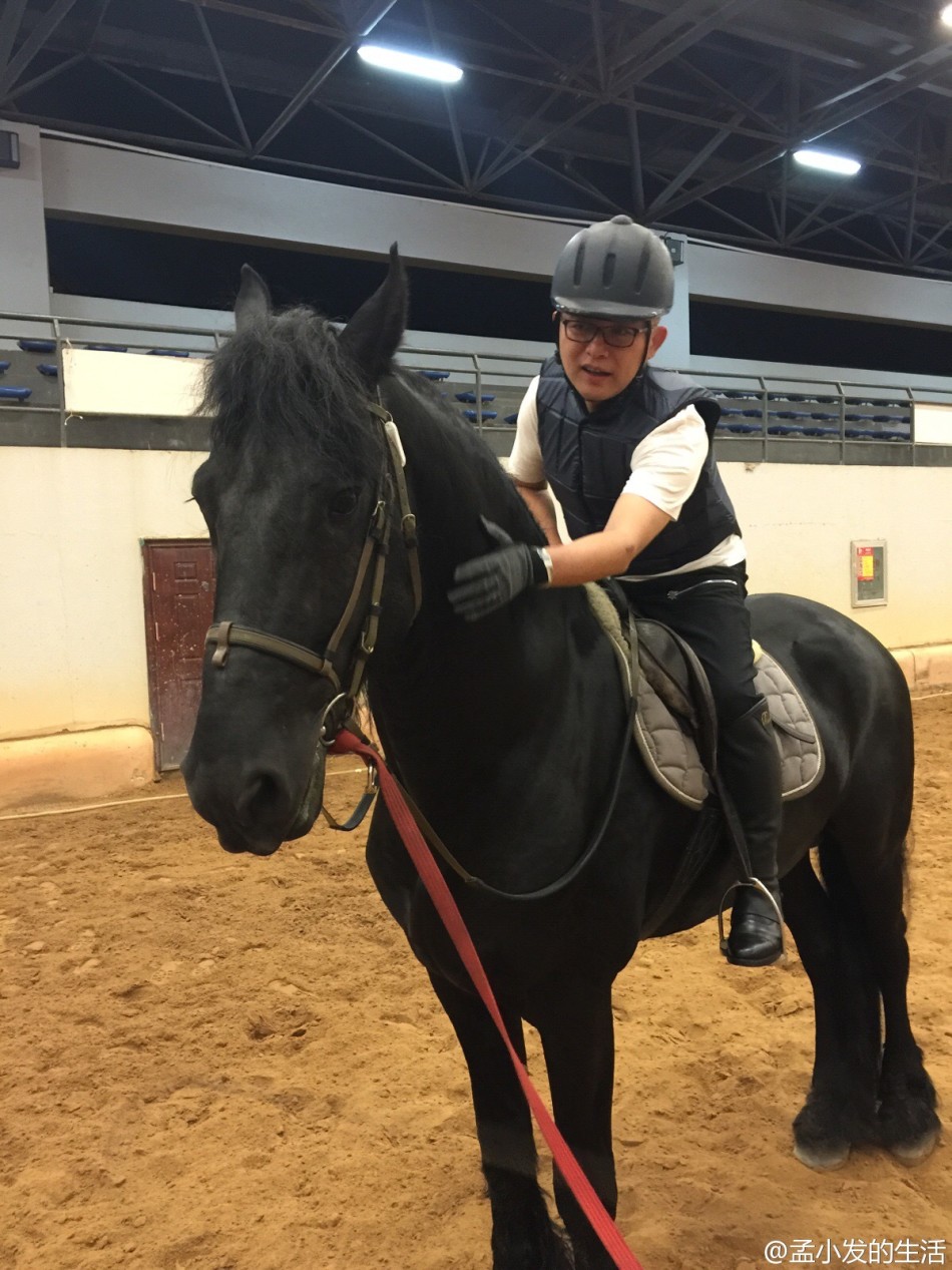 主持人孟非爱骑马_高清图集_新浪网