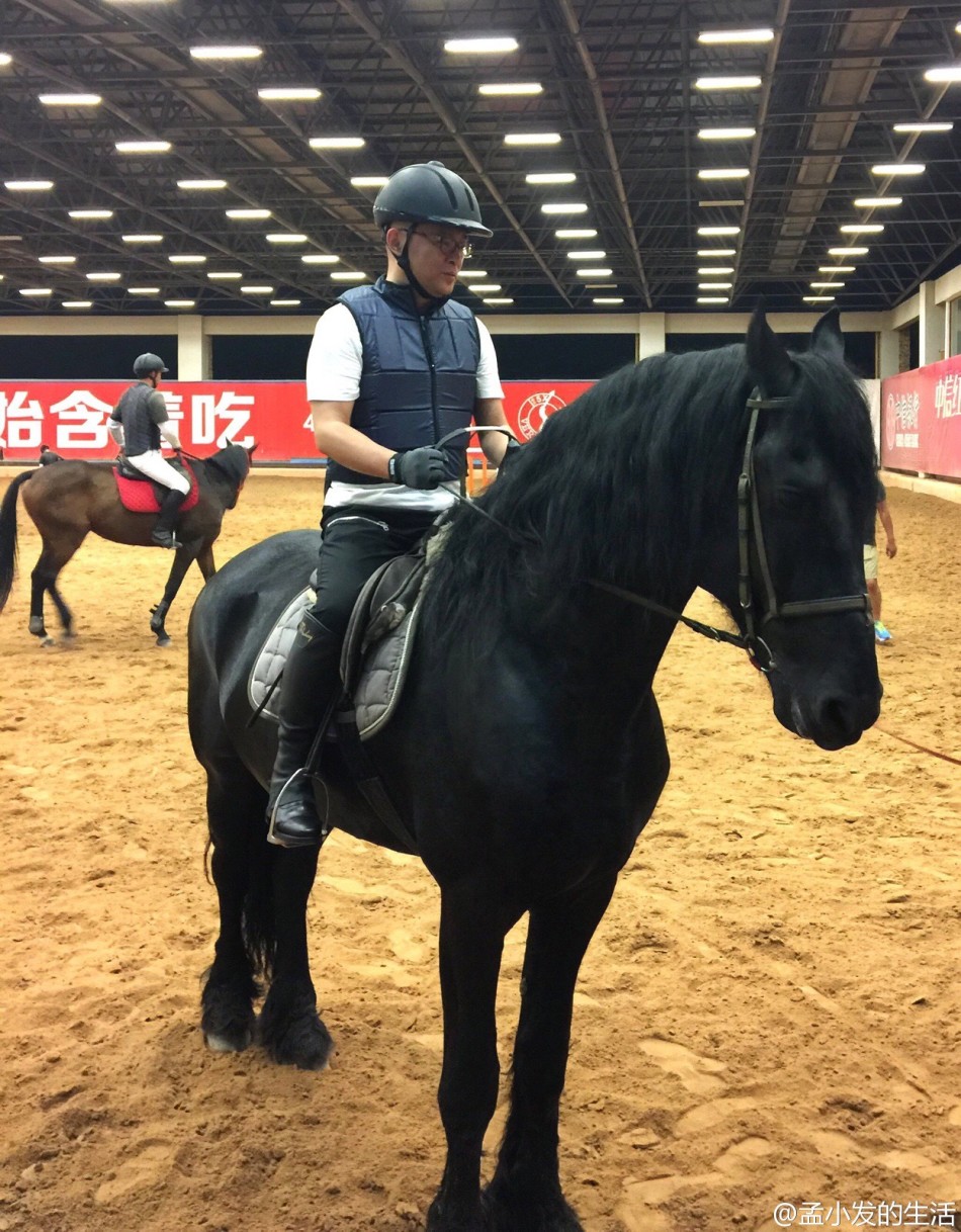主持人孟非爱骑马_高清图集_新浪网