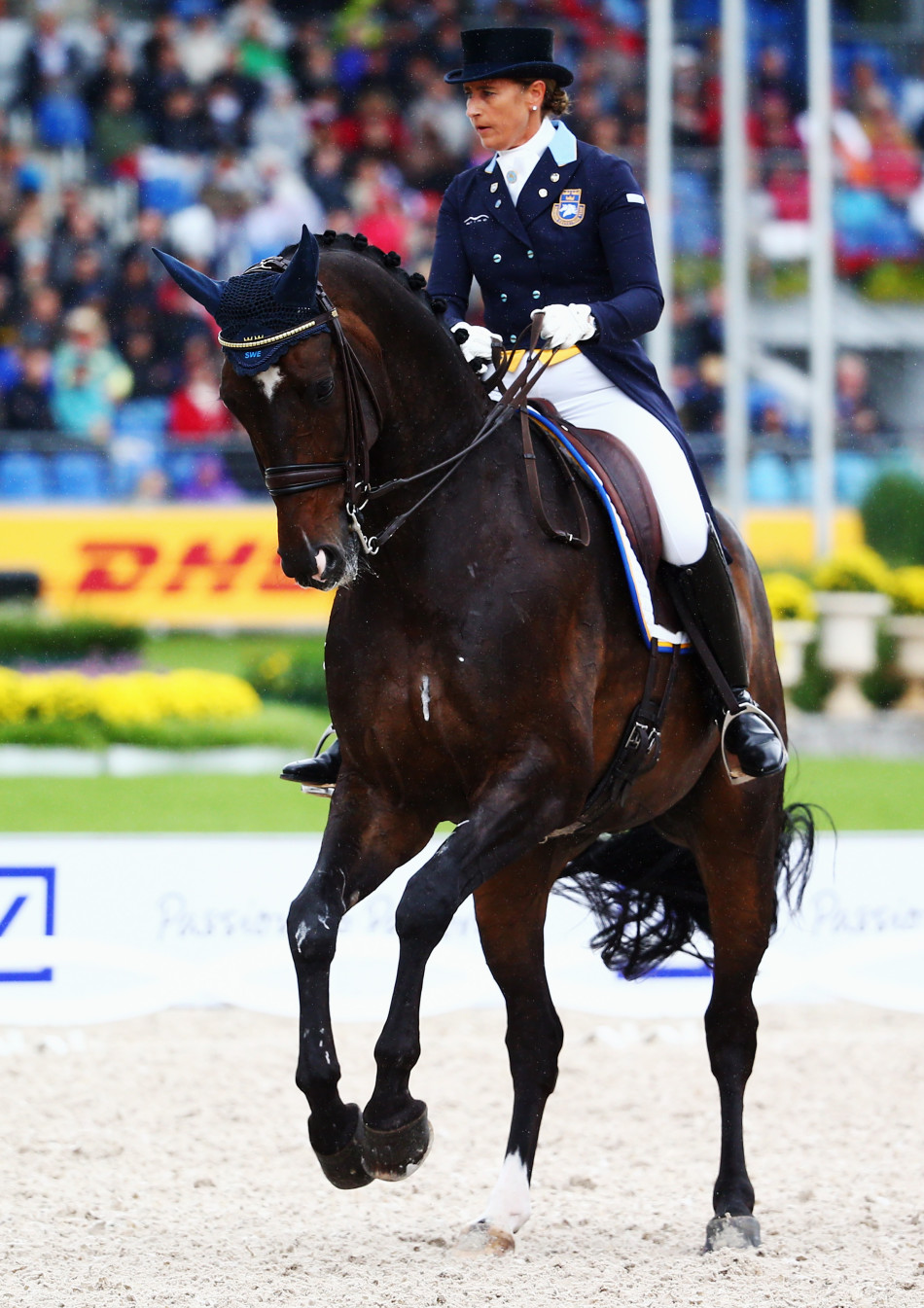亚琛马术欧锦赛现场,盛装舞步选手和马伴随音乐起舞,带给观众一场视听