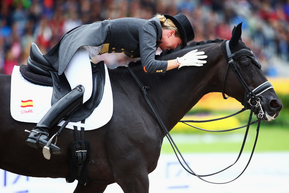 对于马术运动员来说,马就是他们最好的搭档.