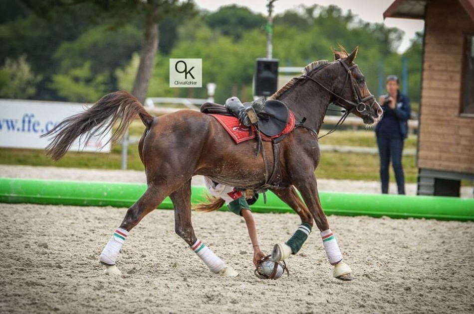 一起欣赏下马上篮球运动员们的精彩表演.