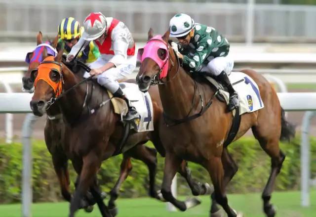 直击香港新马季开锣赛_高清图集_新浪网