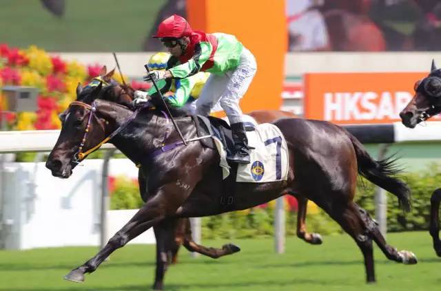 直击香港新马季开锣赛_高清图集_新浪网