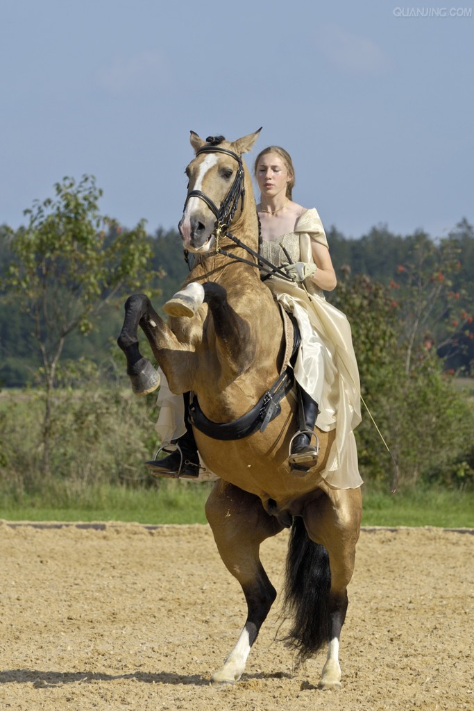 美女骑马人立震惊全场