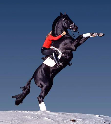 美女骑马人立震惊全场_高清图集_新浪网