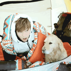 GIF-李敏镐与爱犬滑雪_新浪图片