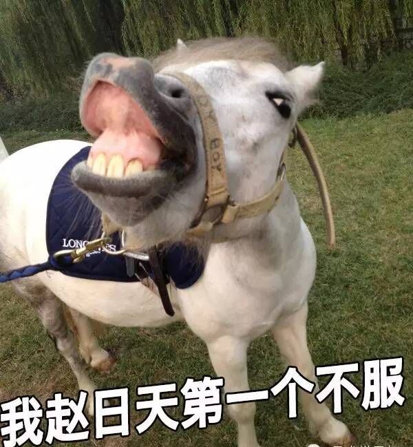极尽搞怪的马儿表情包_高清图集_新浪网