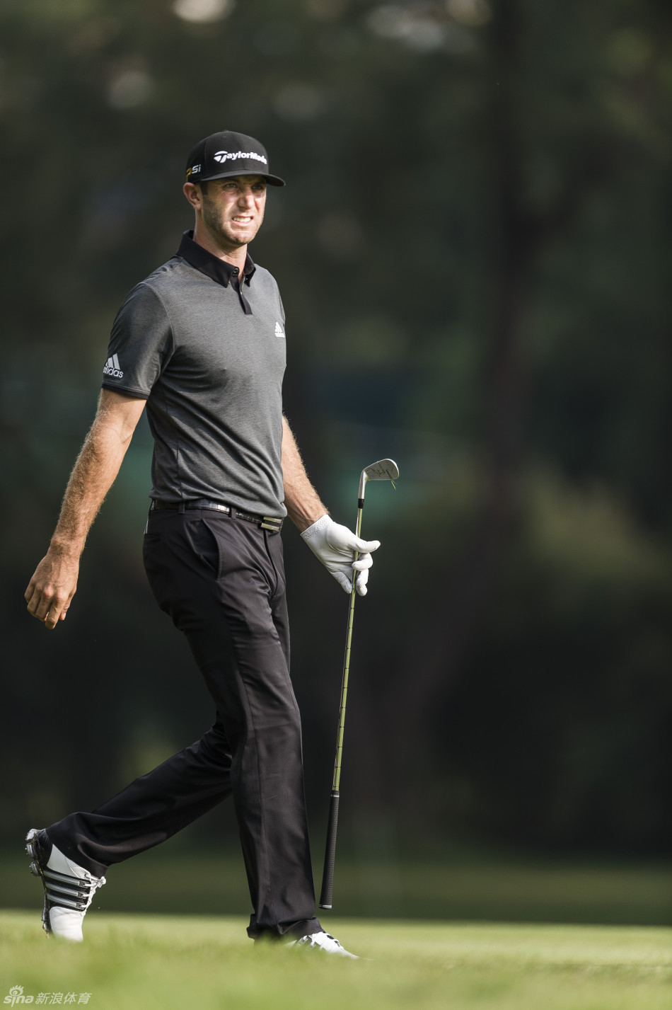 英格兰帅哥贾斯丁-罗斯