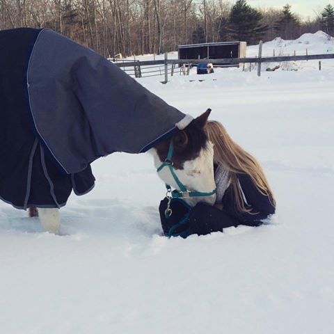 美女与马拥抱温情一刻
