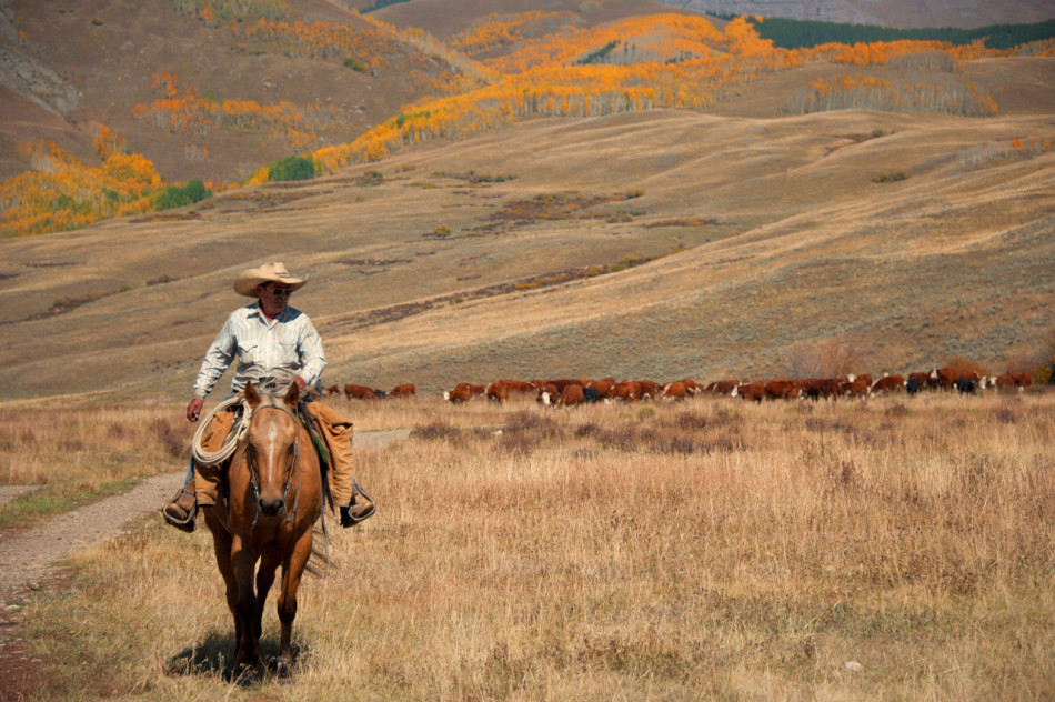 美国西部牛仔经典再现_高清图集_新浪网