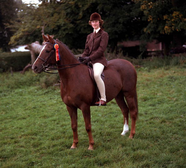 人马拍情侣照秀恩爱_高清图集_新浪网