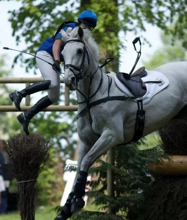 赛场人仰马翻惊险一幕_高清图集_新浪网