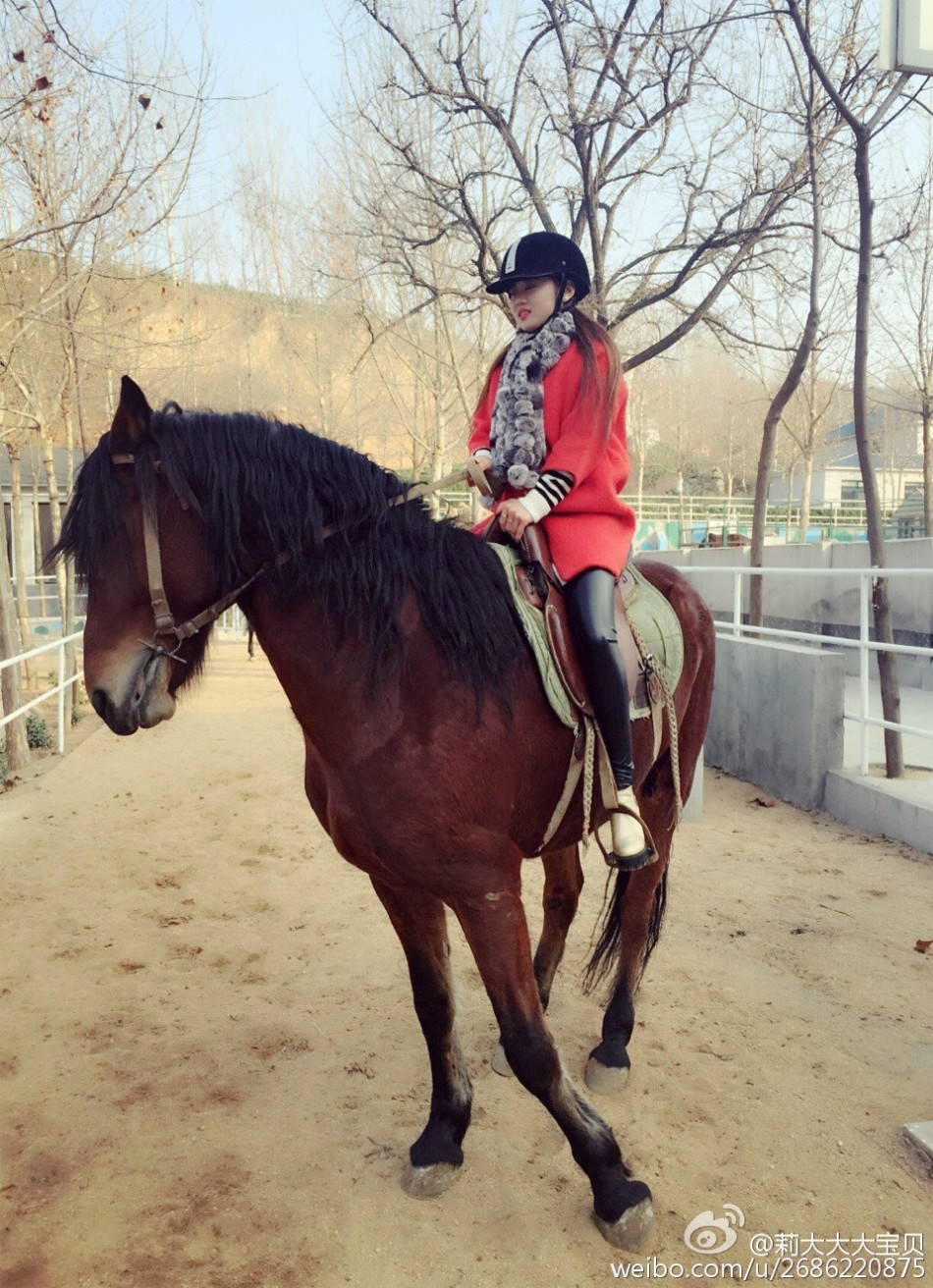 美女轻拍马嘴晒与马合影_高清图集_新浪网