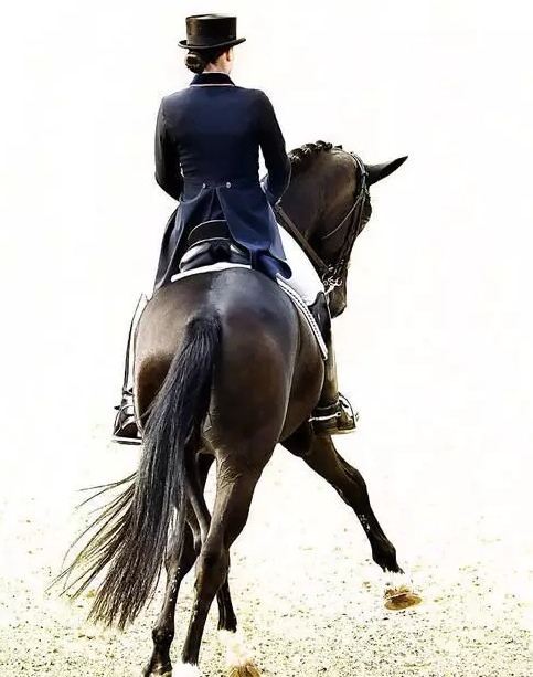 帅气骑马姑娘马场驰骋_高清图集_新浪网