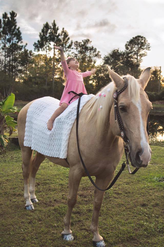 马脸特写大鼻孔显呆萌_高清图集_新浪网