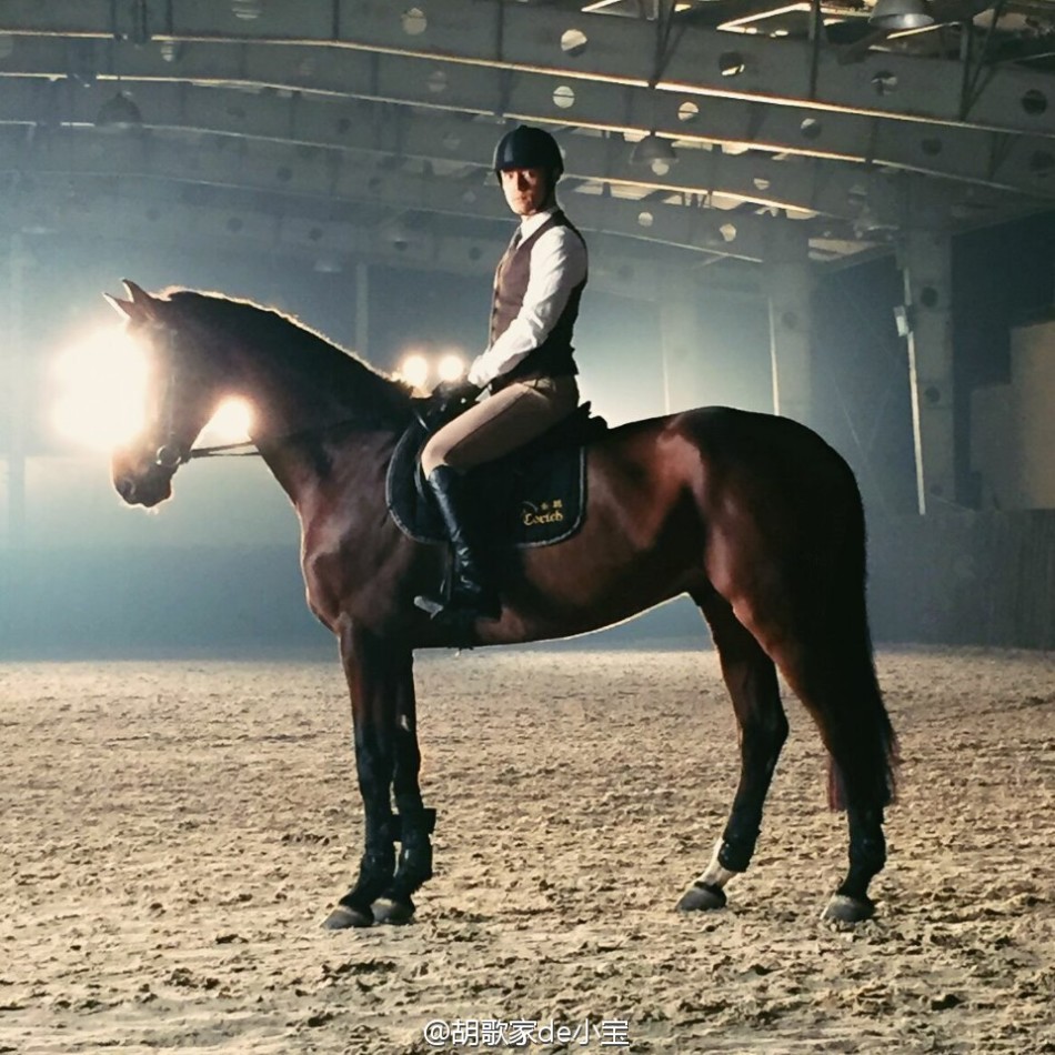 胡歌骑马照帅气如王子_高清图集_新浪网