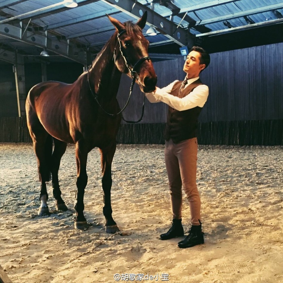 胡歌骑马照帅气如王子_高清图集_新浪网