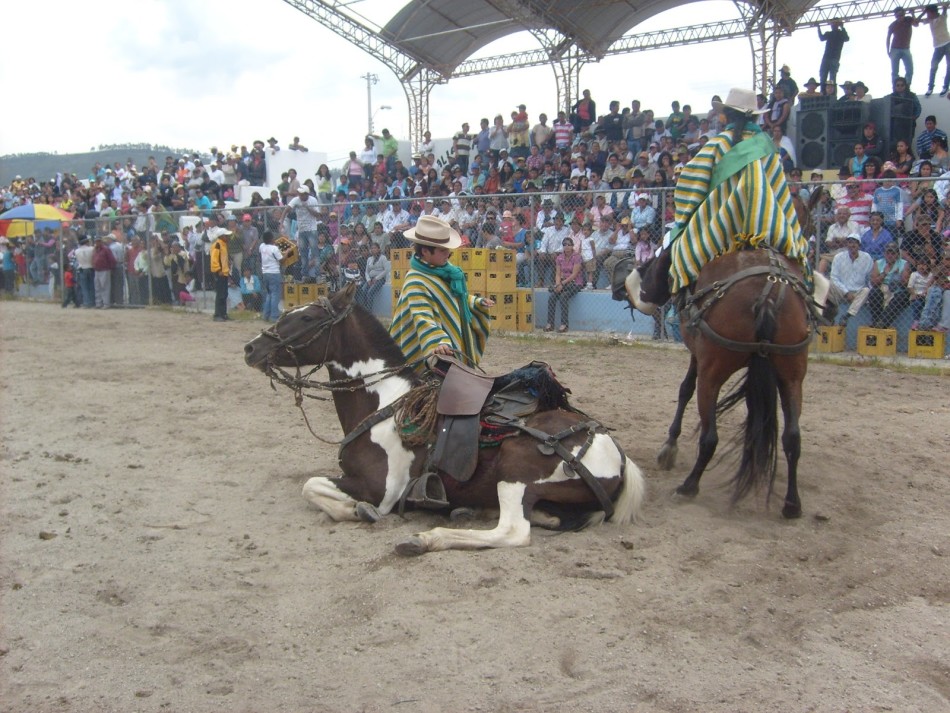 直击南美土著骑马捕牛