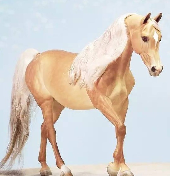 金身银鬃马家族颜值担当_高清图集_新浪网