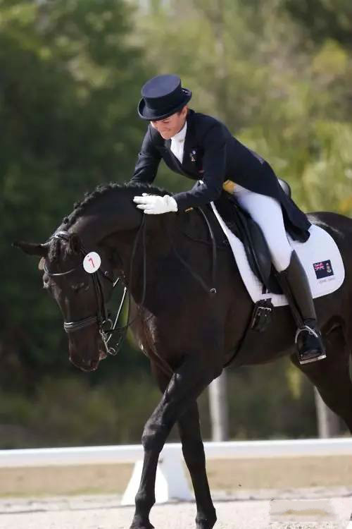 女骑手演马背别样性感_高清图集_新浪网