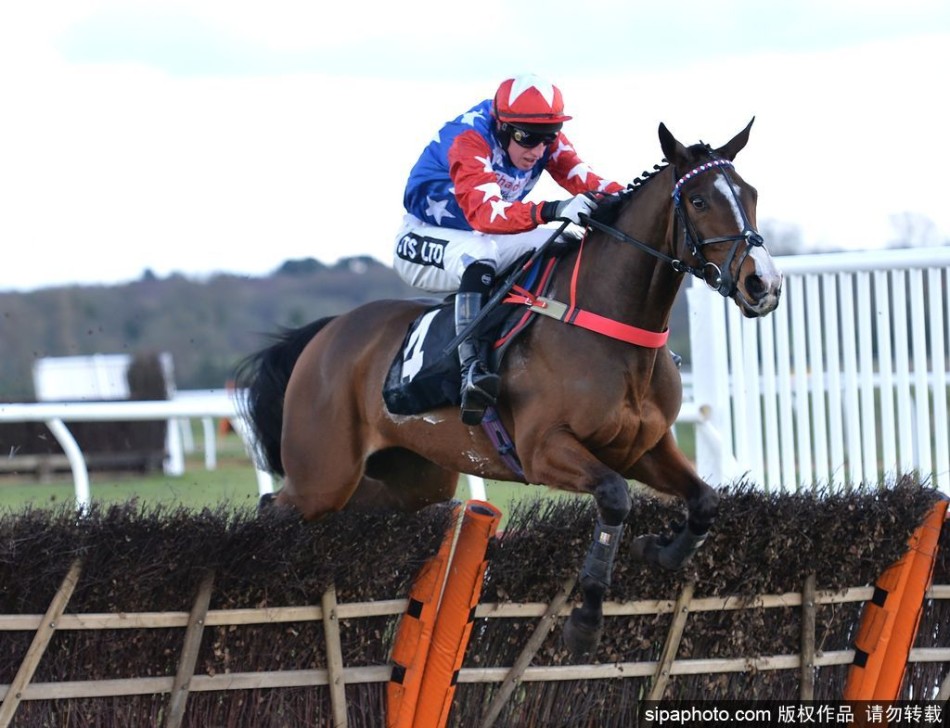直击英国赛马魅力瞬间_高清图集_新浪网