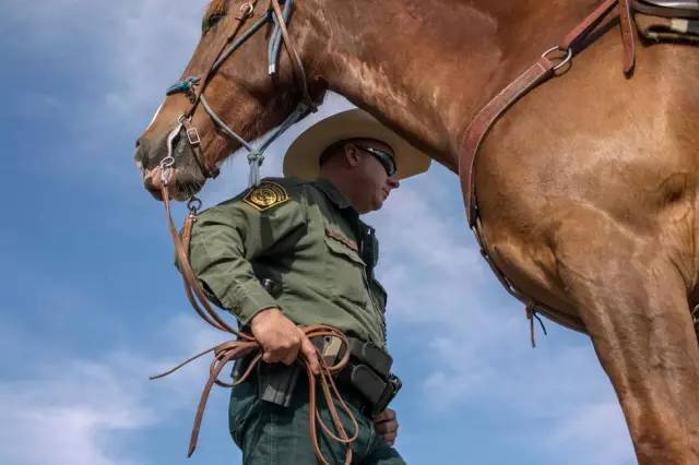 美国监狱囚犯驯服野马_高清图集_新浪网