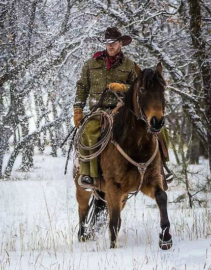 令女人心动的西部牛仔_高清图集_新浪网