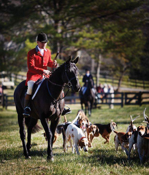 英国贵族骑马狩猎图_高清图集_新浪网