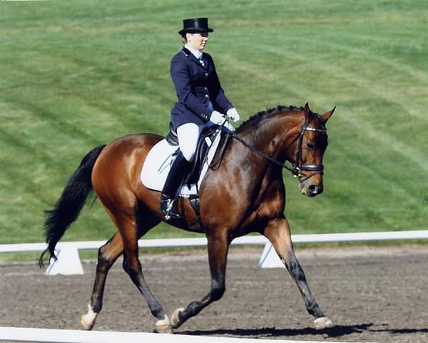 帅气逼人的汉诺威马_高清图集_新浪网