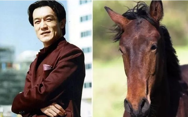 明星表情撞脸神相似_高清图集_新浪网