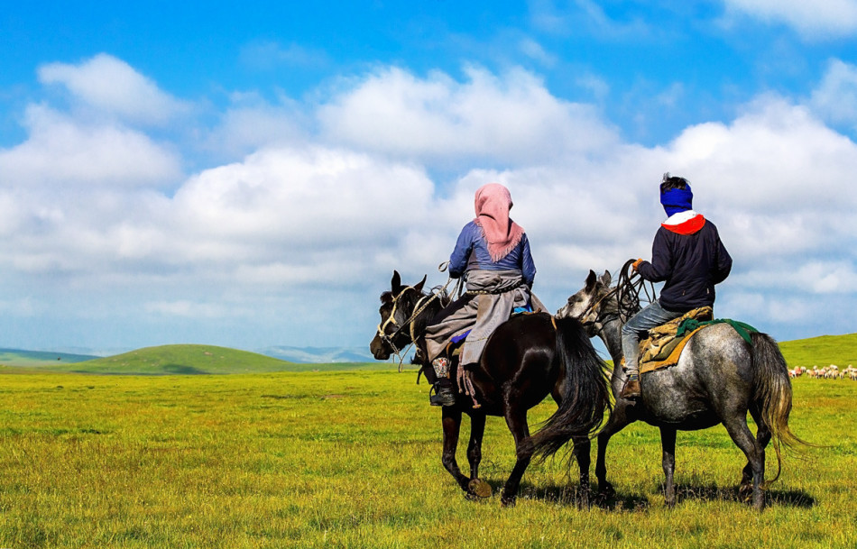 马背上的草原牧羊人_高清图集_新浪网