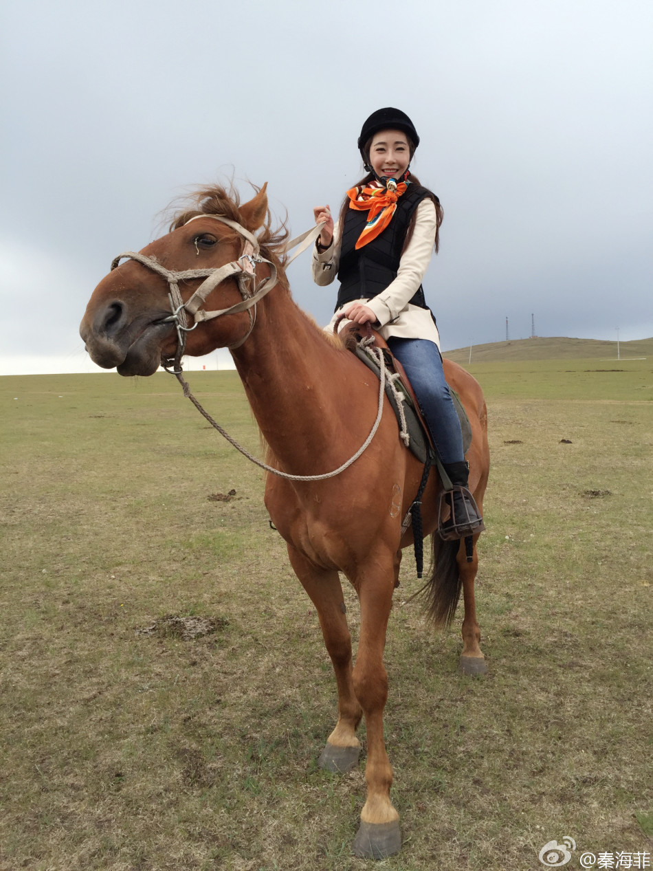 美女草原大海边骑马_高清图集_新浪网